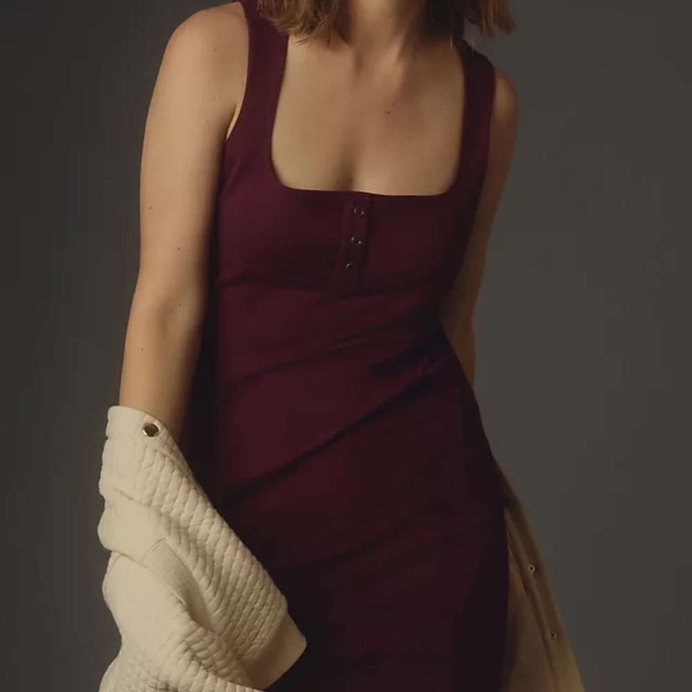 NWT Anthropologie Mini Dress